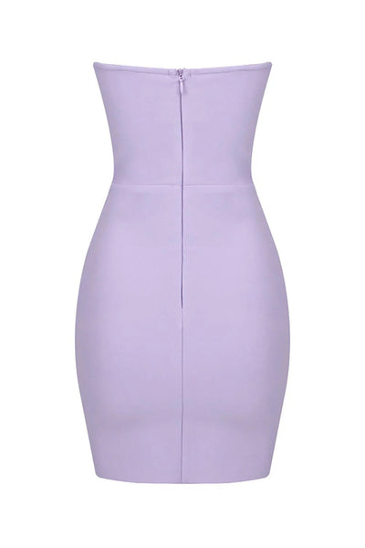 Mini Gizzel dress- Purple