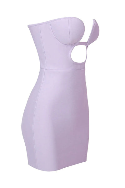Mini Gizzel dress- Purple