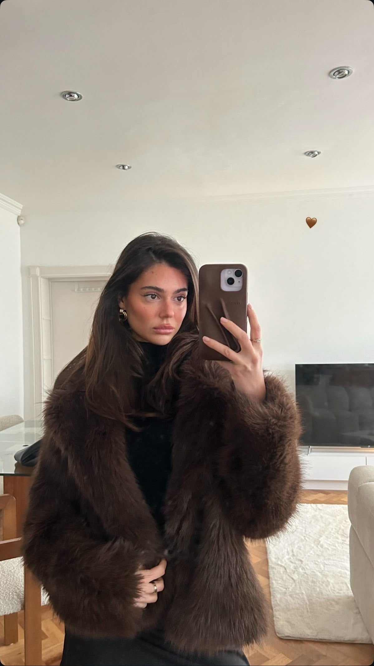 Faux Fur Coat – Brown